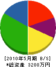 松信電気商会 貸借対照表 2010年5月期