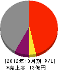大昭電設 損益計算書 2012年10月期