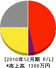 岩枝電気工務店 損益計算書 2010年12月期