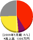 齋藤鉄工 損益計算書 2009年5月期