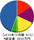 成瀬鉄工所 貸借対照表 2010年10月期