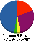 宮田電機 貸借対照表 2009年9月期