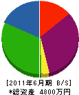 坂根土木 貸借対照表 2011年6月期