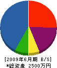 町田冷熱 貸借対照表 2009年6月期