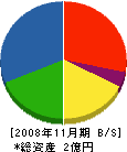 富山ゴム 貸借対照表 2008年11月期