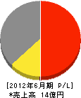 渋沢 損益計算書 2012年6月期
