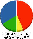 田中電気工事 貸借対照表 2009年12月期