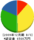 櫻木建設 貸借対照表 2009年12月期