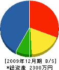 中尾工務店 貸借対照表 2009年12月期
