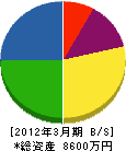 前川電設 貸借対照表 2012年3月期