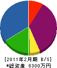 黒澤建設 貸借対照表 2011年2月期