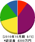 山田建設 貸借対照表 2010年10月期