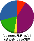 武藤組 貸借対照表 2010年6月期