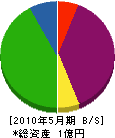山崎クリーン 貸借対照表 2010年5月期