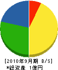 ニシヨシ 貸借対照表 2010年9月期