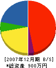 大岩住設 貸借対照表 2007年12月期