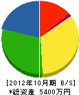 玉田建具 貸借対照表 2012年10月期