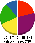 丸は橋本工業 貸借対照表 2011年10月期