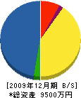 三光電気 貸借対照表 2009年12月期