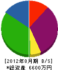 柿崎重機興業 貸借対照表 2012年8月期