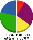 三崎電気 貸借対照表 2012年3月期