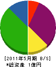 森田屋電気 貸借対照表 2011年5月期