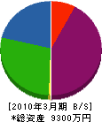 木村工業 貸借対照表 2010年3月期