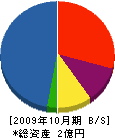 下越総合開発 貸借対照表 2009年10月期