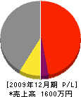 東川建設 損益計算書 2009年12月期
