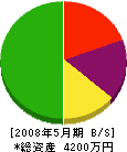 渡辺工業 貸借対照表 2008年5月期