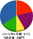 大竹組 貸借対照表 2010年6月期
