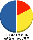 入江電気工事店 貸借対照表 2010年11月期
