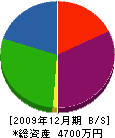 丸加産業 貸借対照表 2009年12月期