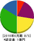 九州ハウス工業 貸借対照表 2010年6月期