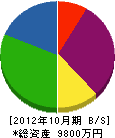 平井管工 貸借対照表 2012年10月期