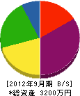 川本建設 貸借対照表 2012年9月期