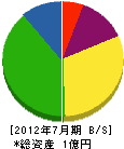 小坂建設 貸借対照表 2012年7月期