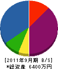 津崎建設工業 貸借対照表 2011年9月期