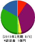 櫻澤建設興業 貸借対照表 2013年2月期
