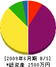 原田設備 貸借対照表 2009年6月期