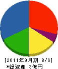 渡辺賢工務店 貸借対照表 2011年9月期