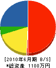 鶴見電設 貸借対照表 2010年6月期
