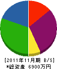八崎興業 貸借対照表 2011年11月期