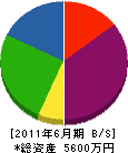 澤田防災工業 貸借対照表 2011年6月期
