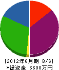 赤坂造園 貸借対照表 2012年6月期