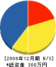 中島設備 貸借対照表 2009年12月期