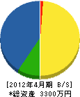 大田金松園 貸借対照表 2012年4月期