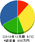 川村建築 貸借対照表 2010年12月期