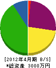 戸沢研装 貸借対照表 2012年4月期