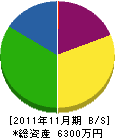 杉尾組 貸借対照表 2011年11月期